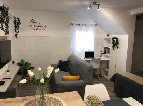 Casa Refugio A