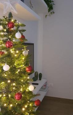 Casa Semplice