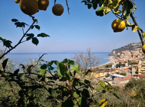 Casa Spisidda Appartamento bilocale "Salina" con vista sulle Eolie