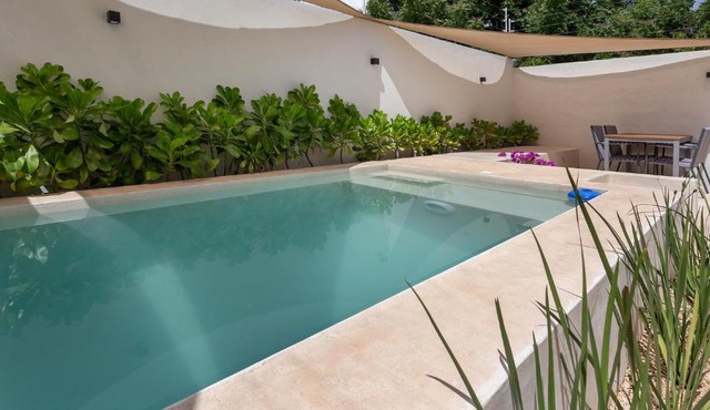 Casa Venado