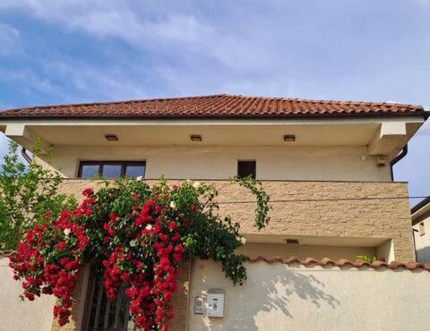 Casa verde 2