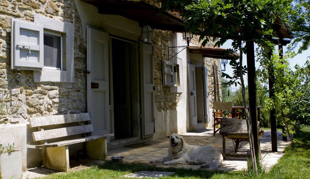 Casa Verde