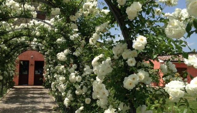 Casale Le Selvette