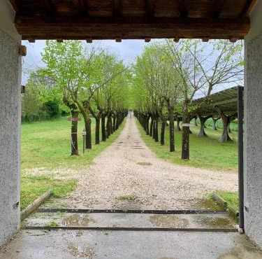 Casale Sciarra