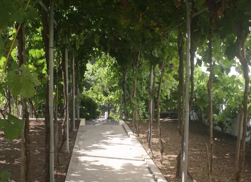 CasaTioManel