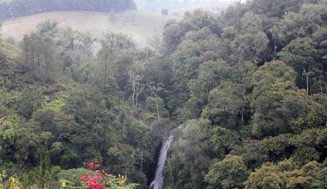 Cascada Cafe Retiro (Waterfall Café Retreat) Colombia Coffee Farm Experience PPN