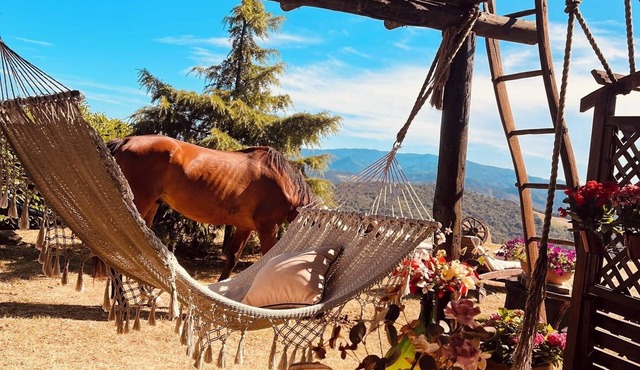 Cascina Puvie <> nestled in the picturesque hills of Upper Monferrato.