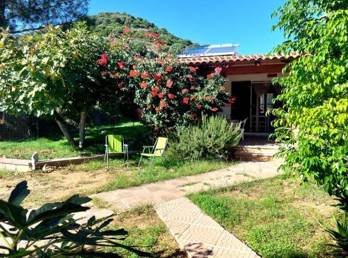 Case 800 mt dal mare - Casa Flora e Casa Aurora