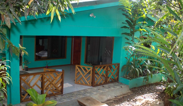 Casita cecropia in Drake Bay