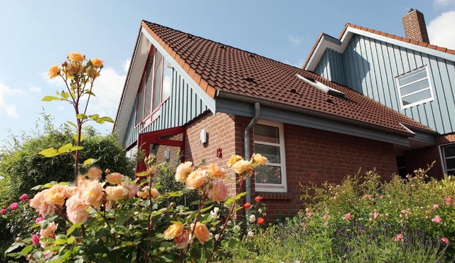 Casita