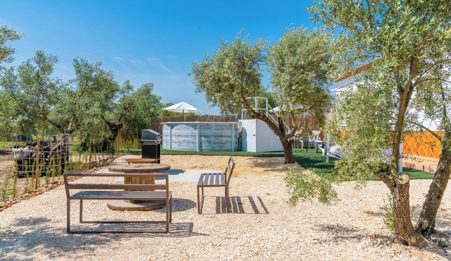 Casita Los Garranchos en la Campiña Andaluza Rodeada de Olivos