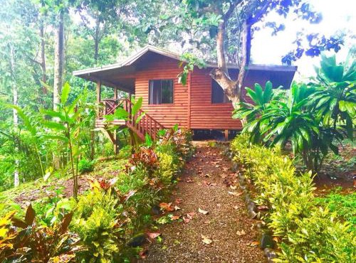 CASITAS GINGER