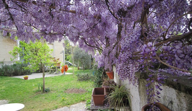 Castelletto Sopra Ticino: House / Villa - Castelletto sopra Ticino