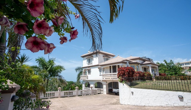 Castillo de Palmas, Panoramic Views of Rincon