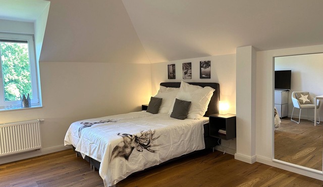 Castle Studio WE 28 - Hohendorf Castle