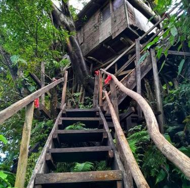 Castle Tree House And Bungalow