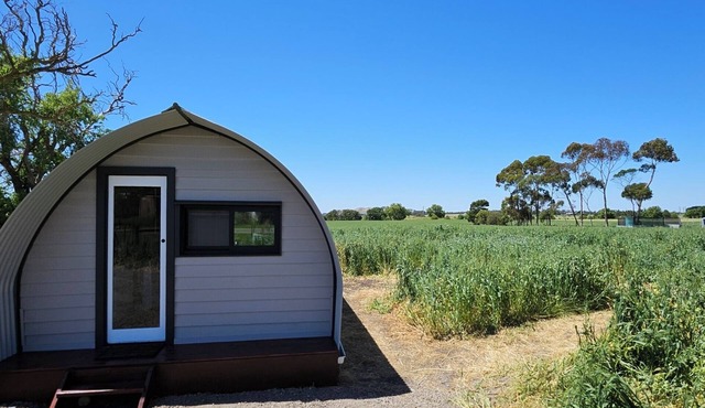 Cattle Yard Cabin With a View