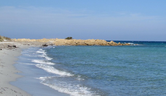 Cavalli di S'Arcaite