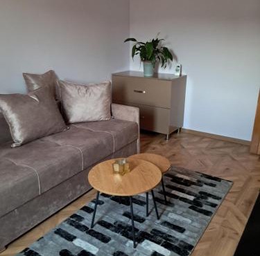 Cazare Apartament