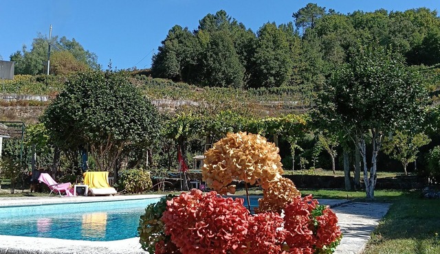CDC Casa do Capitán Leiro: Relax Among Vineyards and Forests in Ribeiro