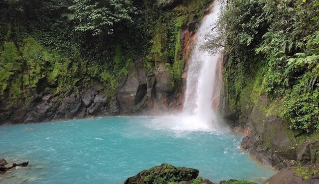 Celeste River Nature View
