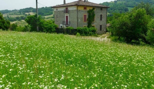 Cento Giorni dall'Artist