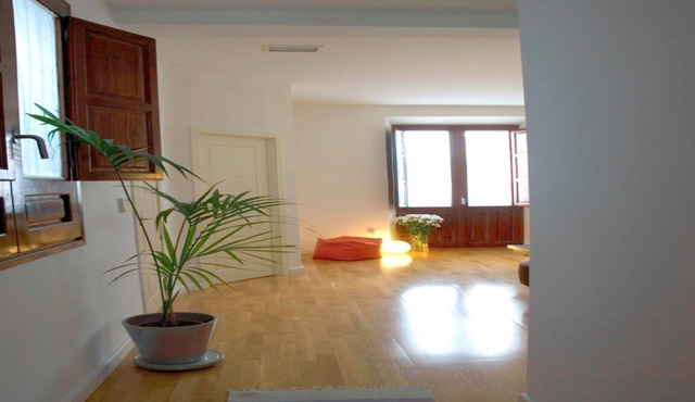 CENTRAL AND STYLISH APARTMENT IN GRANADA