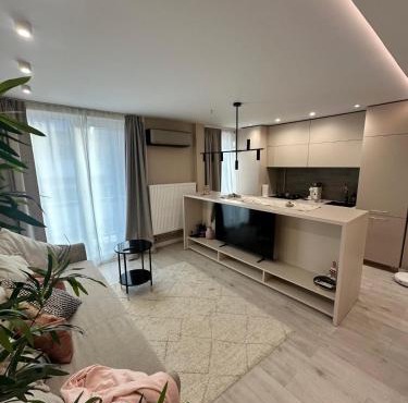 Central Apartment