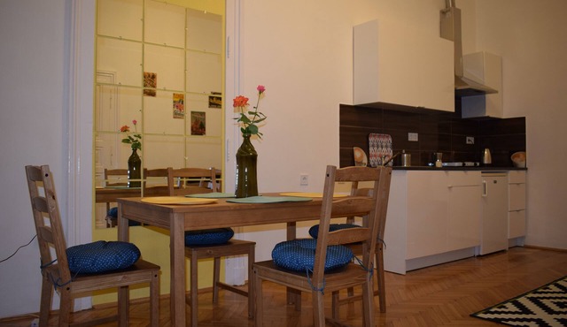 Central Flat, steps to Great Market, Gellert Bath & Corvinus university