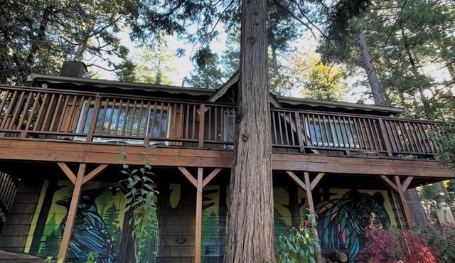 Central Heat & Air, WiFi, Wall Mural and Fully fenced minutes from downtown