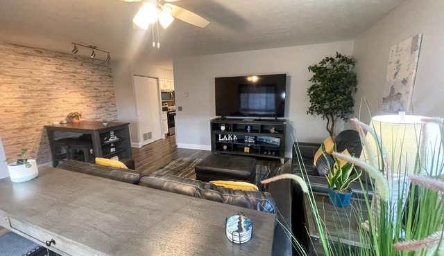 Central Huron Modern Townhome