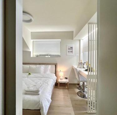 Central Luxury Flat 1