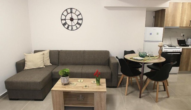 Central Luxury Flat 2