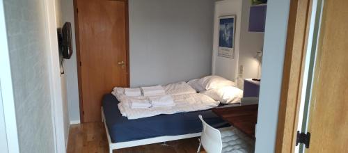 Central Microflat, free parking, garden BBQ, LegoHouse, Legoland,