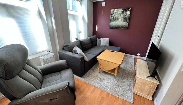Central Narvik Apt W Workspace walk to city (d14d)