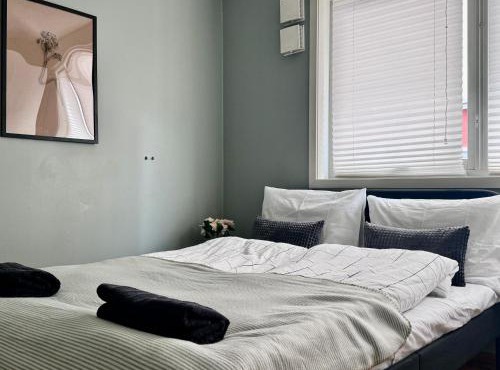 Central Oslo Executive 2-Bedroom Apartment lift Street Parking 8 guests
