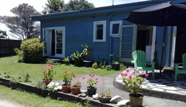 Central pet friendly home