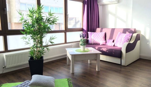 Central Spacious Apartment (near train station)