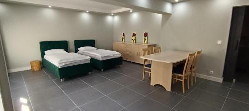 Central Studio Abrud