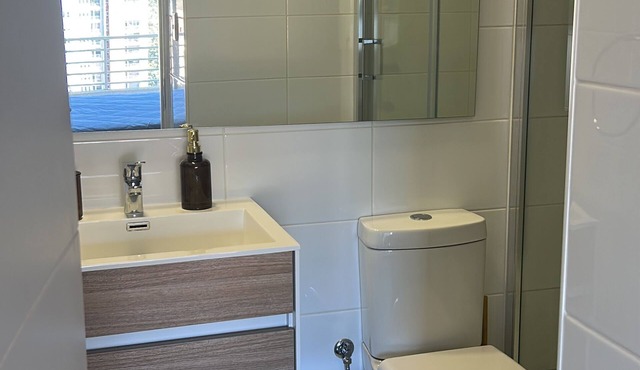 Centrally Located Apartment With Beautiful View In Concepción