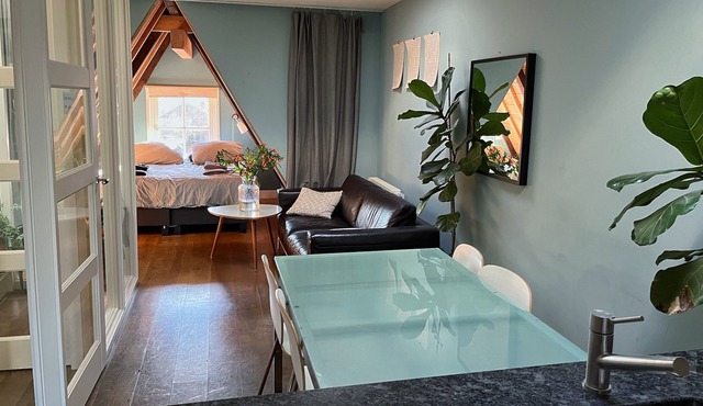 Centrally Located Comfortable Renovated Monument Apartment