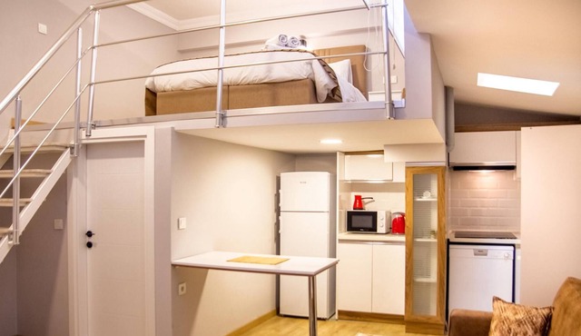 Centrally Located Fully Furnished Flat in Konak