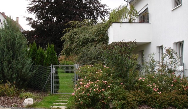 Centrally located nice apartment Rosenfeld