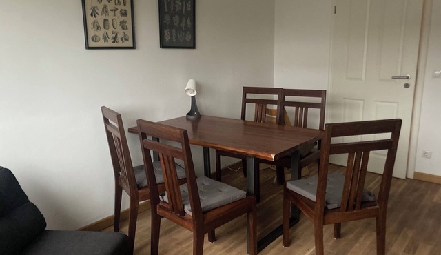 Centrally located, small apartment with kitchen and shower room