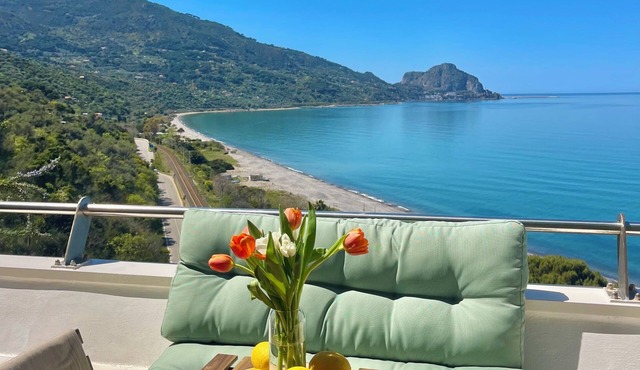 Cephaluce Suite