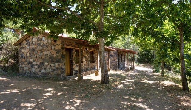 Cepo Verde