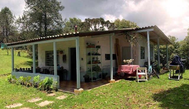 Cerro verde