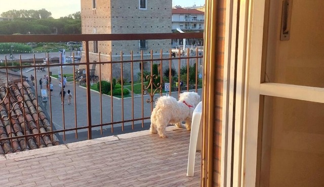 Cervia central large bright apartment spectacular view of the Tower