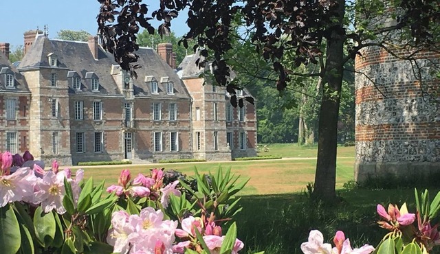 Château de Janville * * * * * Swimming pool -Tennis - Golf - Beaches