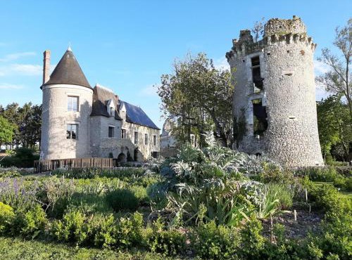 Château exceptionnel avec piscine privée, spa & WiFi - FR-1-381-410